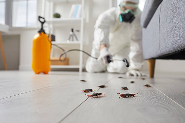 Trusted Fumigation Services service in Desert Hot Springs, CA - Nex Pest Control