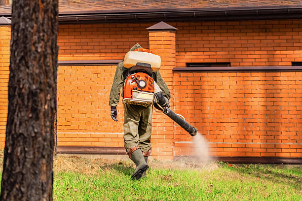 Trusted Bed Bug Control service in Desert Hot Springs, CA - Nex Pest Control